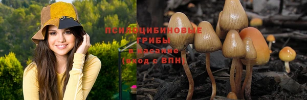 СК Алексин