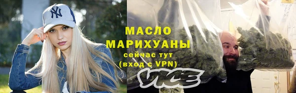 СК Алексин
