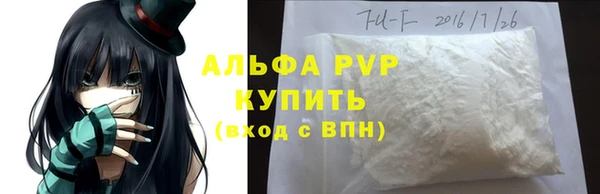СК Алексин