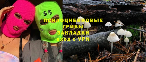 СК Алексин