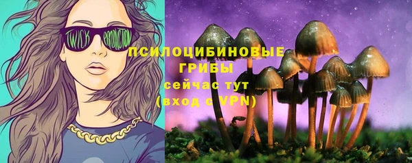 гашик Алзамай