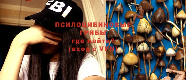 spice Абаза